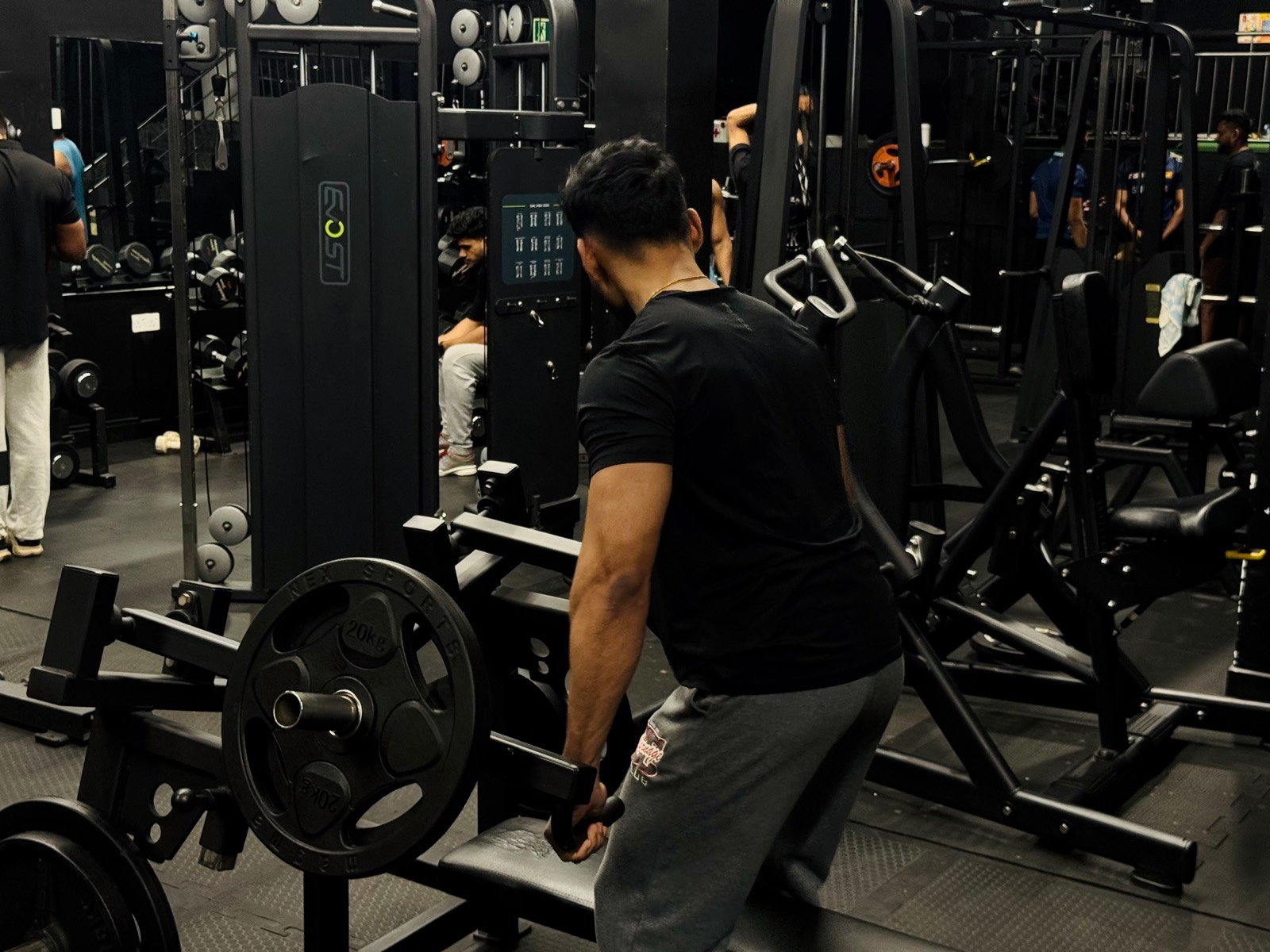 Plate-loaded machines and weight plates in the strength zone
